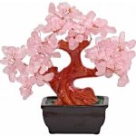 Nefertitis Bonsai z růženínu - dekorace domů a kanceláře NF43049 - cca 15 x 17 cm – Zboží Dáma