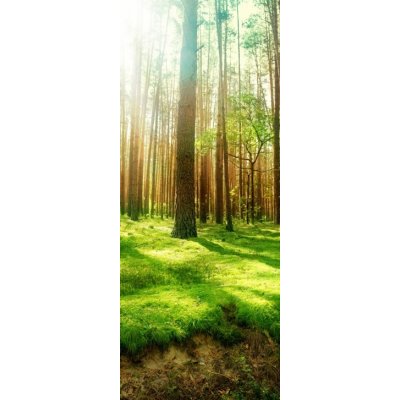 WEBLUX 25769239 Samolepka na lednici fólie Misty Old Forest Mlýnský starý les rozměry 80 x 200 cm – Zboží Mobilmania