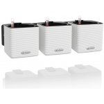 Lechuza Green Wall Color bílá 3 květináče cube color 14 na zeď – HobbyKompas.cz