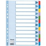 Roztřiďovač kartonový Esselte Mylar, 12 listů – Zboží Živě