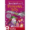 Elektronická kniha Příšerná teta - David Walliams