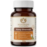 Maharishi Ayurveda Kutaj Ghanvati 60 tablet – Hledejceny.cz
