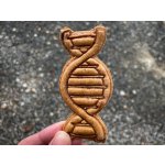 TVOŘÍTKO DNA I - vykrajovátko – Hledejceny.cz