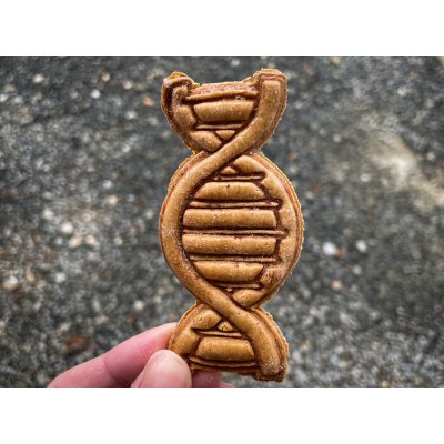TVOŘÍTKO DNA I - vykrajovátko – Hledejceny.cz