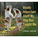 Really Important Stuff My Dog Has Taught Me – Hledejceny.cz