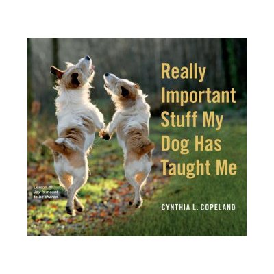 Really Important Stuff My Dog Has Taught Me – Hledejceny.cz