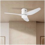 Zeventi ZV0034 – Zboží Dáma