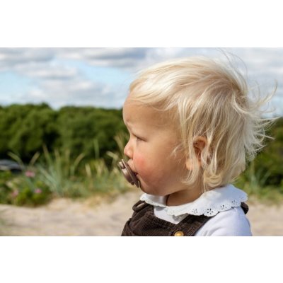 Bibs De Lux silikon Woodchuck blush 2 ks – Zbozi.Blesk.cz