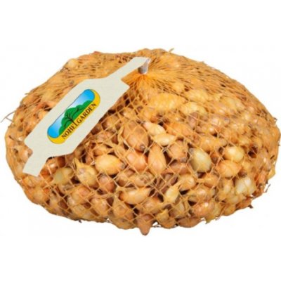 Cibule sazečka Všetana - Allium cepa - cibulky - 500 g