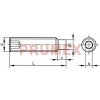 Šrouby se šestihrannou hlavou Šroub stavěcí s čípkem-inbus DIN 915 M3x6