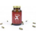 BrainMax Iron Complex železo bisglycinát 25 mg 100 rostlinných kapslí – Hledejceny.cz