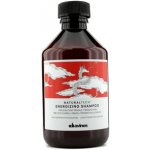 Davines Naturaltech Energizing Shampoo 250 ml – Hledejceny.cz