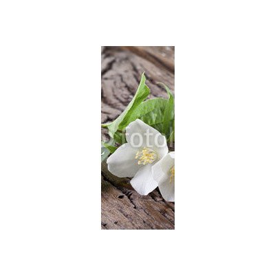WEBLUX 66646997 Samolepka na lednici fólie Jasmine flowers over old wooden table. Jasmínové květiny nad starým dřevěným stolem. rozměry 80 x 200 cm – Zbozi.Blesk.cz