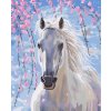 Malování podle čísla Amparo Miranda malování podle čísel Bílý kůň