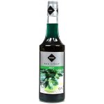 Rioba sirup Mint 0,7 l – Zboží Mobilmania