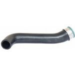 PIETRO Hadice turba ŠKODA OCTAVIA I 99-06 1,9TDi 66kW | Zboží Auto