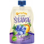 Ovocňák Mošt Jablko borůvka 250 ml – Hledejceny.cz
