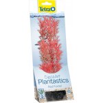 Tetra Myriophyllum heterophyllum Red Foxtail 23 cm – Zboží Mobilmania
