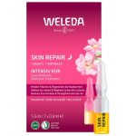 Weleda 7 denní intenzivní kúra Divoká růže Skin Repair Intensive Treatment 7 x 0,8 ml – Zboží Dáma