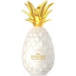 Pinaq Colada 17% 1 l (holá láhev) – Zbozi.Blesk.cz