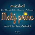 Muzikál - Malý princ CD – Hledejceny.cz