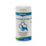 Canina Schlank Vital 250 g – Hledejceny.cz