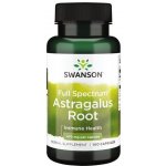 Swanson Astragalus Root Kozinec 470 mg 100 kapslí – Hledejceny.cz