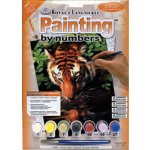 Malování podle čísel Tygr u vody – Zbozi.Blesk.cz