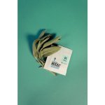 Integra Boost Terpene Essentials Pinen 67g, 62%, 1 ks – Zboží Dáma