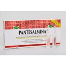 Gestil Pantesalmina tonikum rozjasňující pro oslabené vlasy Restorative Treatement 12 x 15 ml