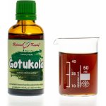Bylinné kapky Gotukola 50 ml – Hledejceny.cz