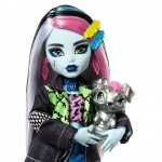Mattel Monster High Fashion Doll Frankie Stein & Pet Watzie HXH73 – Zbozi.Blesk.cz