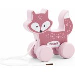 Viga tahačka liška – Sleviste.cz