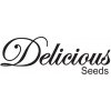 Semena konopí Delicious Seeds Chocobang semena neobsahují THC 1 ks