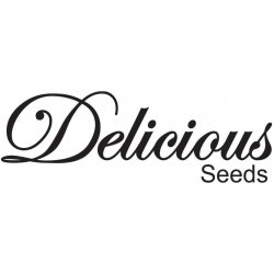 Delicious Seeds La Diva Auto semena neobsahují THC 10 ks