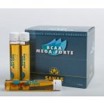 SANAS BCAA MEGA FORTE 660 ml – Hledejceny.cz