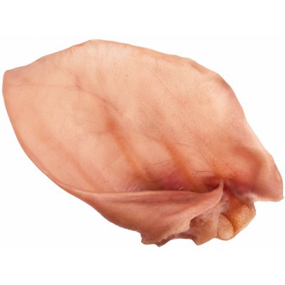 JK ANIMALS Velké sušené vepřové ucho 1 x 40 g – Zboží Dáma