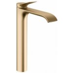 Hansgrohe Vivenis 75042140 – Hledejceny.cz