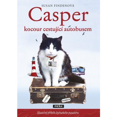 Casper, kocour cestující autobusem – Hledejceny.cz