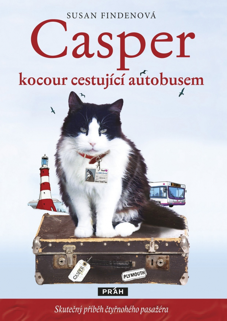 Casper, kocour cestující autobusem