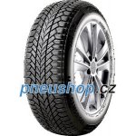 Giti Winter W1 205/55 R16 91T – Hledejceny.cz