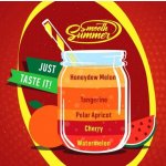 Big Mouth Smooth Summer Mandarinka a žlutý meloun 10 ml – Zboží Dáma