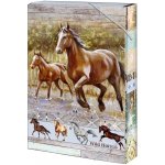 ARGUS A4 Wild horses 12310414 – Zbozi.Blesk.cz