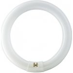 Philips Massive kruhová TL-E Circular Super 80 32W 840 G10q – Zboží Dáma