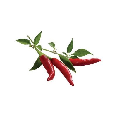 Click and Grow Kapsle Smart Garden - Chilli papričky – Hledejceny.cz