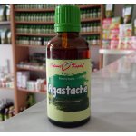 Bylinné kapky Agastache tinktura 50 ml – Hledejceny.cz