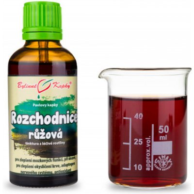 Bylinné kapky Rhodiola rozchodnice kapky tinktura 50 ml