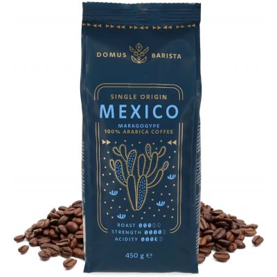 Domus Barista Single Origin Mexico zrnková 450 g – Hledejceny.cz