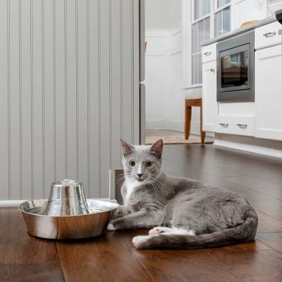 PetSafe Seaside fontánka 1,8 l – Sleviste.cz