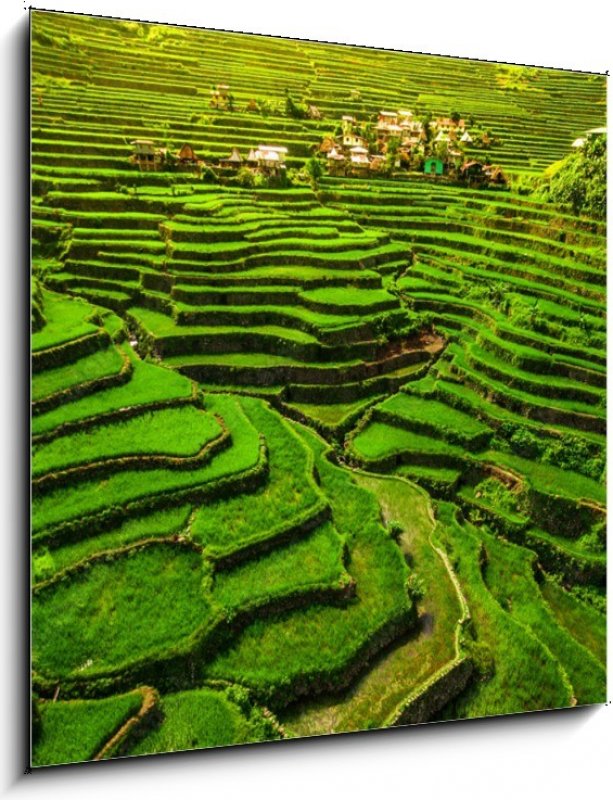 Obraz 1D - 50 x 50 cm - Batad Rice Terraces in Northern Luzon ...